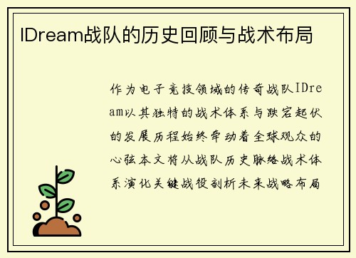 IDream战队的历史回顾与战术布局